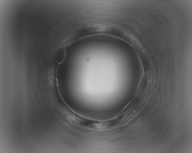 X0000074210509200608251106