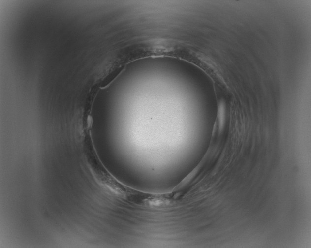 X0000074210512200608251106
