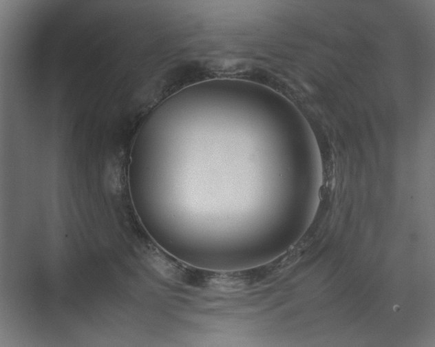X0000074210515200608251106