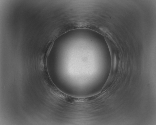 X0000074210516200608251106