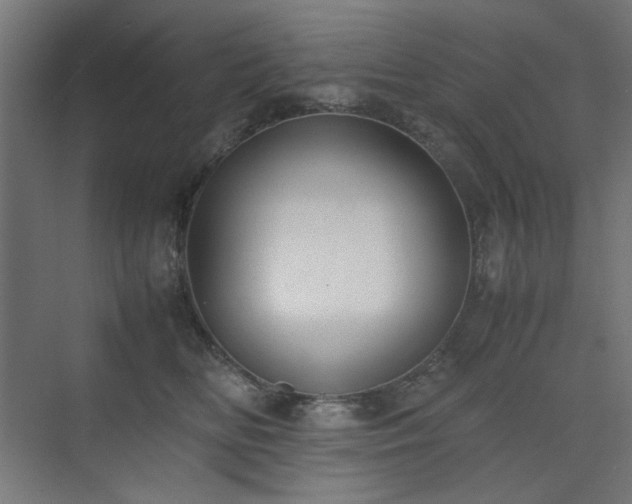 X0000074210518200608251106