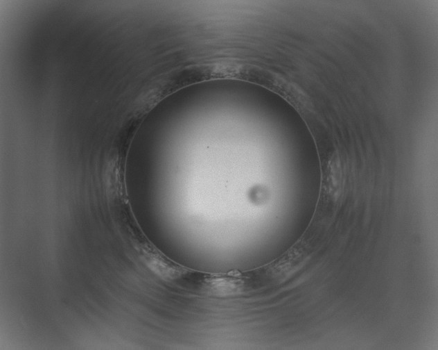 X0000074210522200608251106