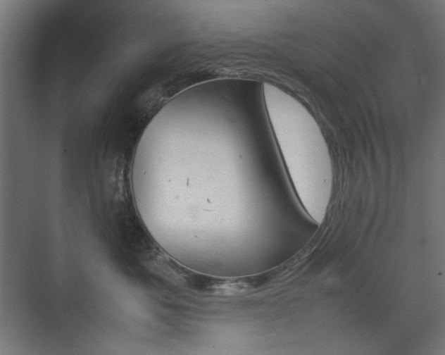 X0000074210525200608251106