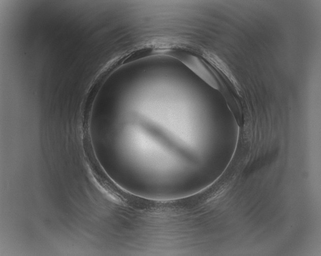 X0000074210530200608251105
