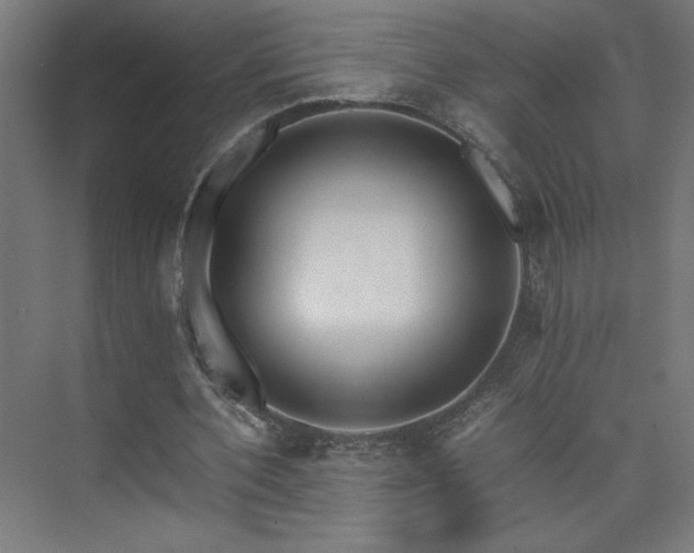 X0000074210532200608251105