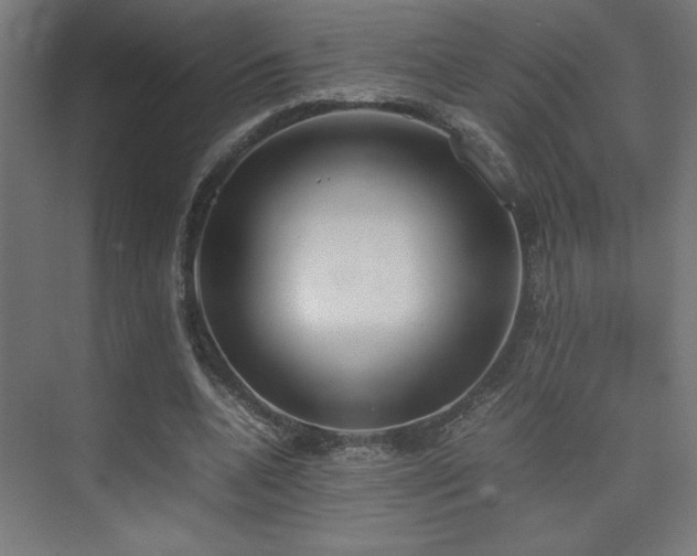 X0000074210536200608251105