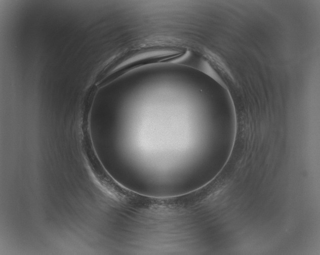 X0000074210538200608251105