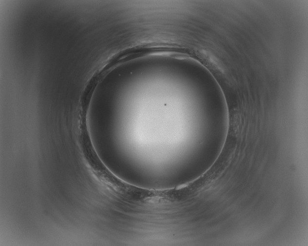 X0000074210544200608251105