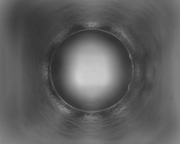 X0000074210545200608251105