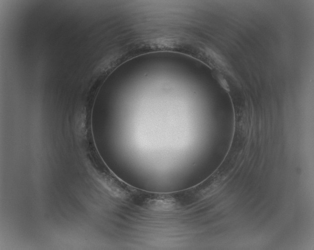 X0000074210548200608251105