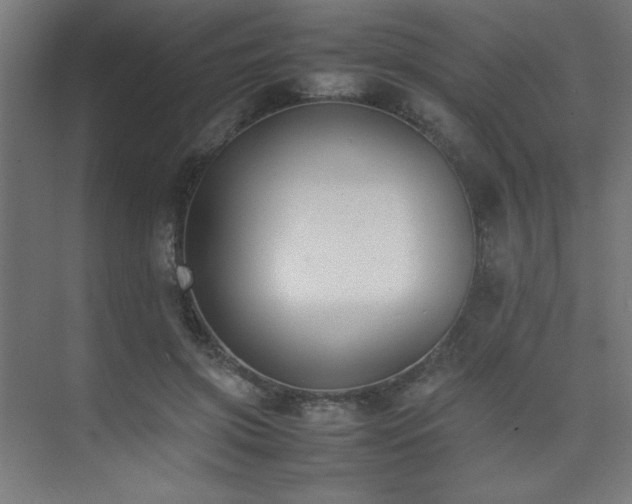 X0000074210549200608251105