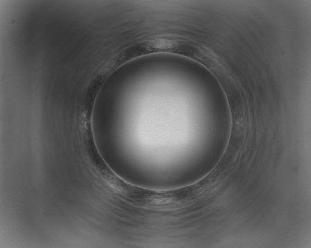 X0000074210555200608251105