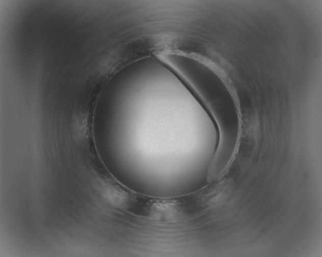 X0000074210560200608251106