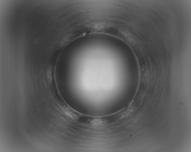 X0000074210562200608251106