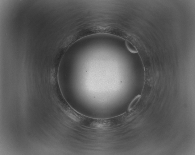 X0000074210563200608251106