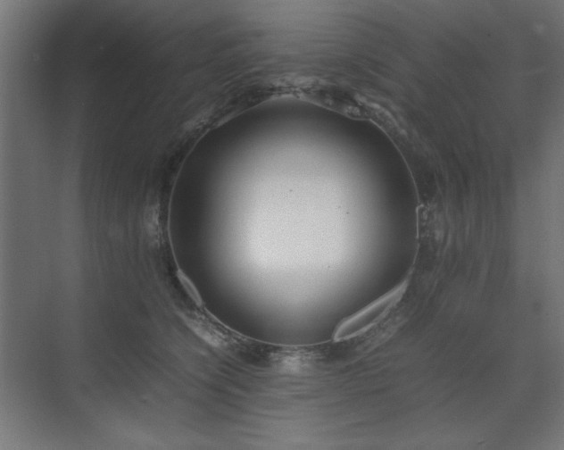 X0000074210564200608251106