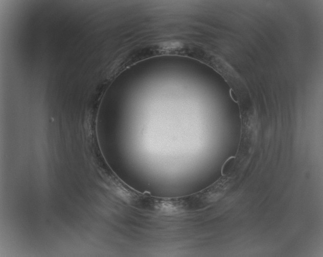 X0000074210565200608251106