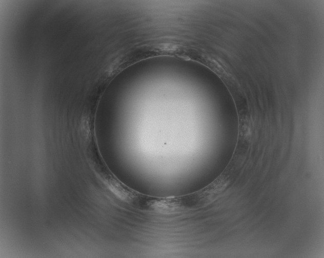 X0000074210568200608251106
