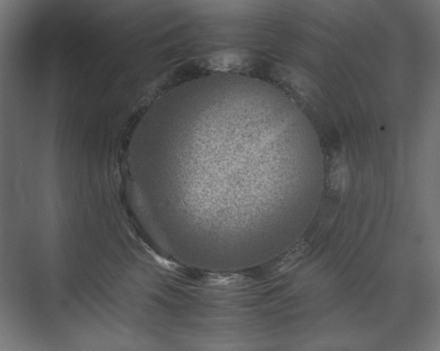 X0000074210569200608251106