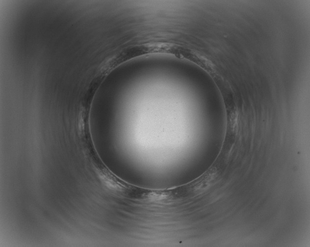 X0000074210570200608251106