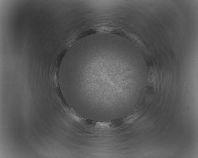 X0000074210573200608251106
