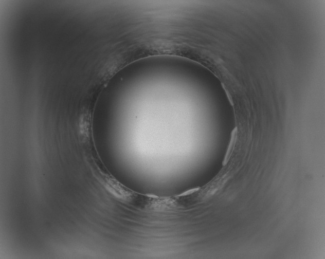 X0000074210576200608251106
