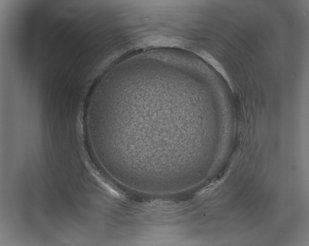 X0000074210581200608251105