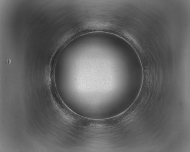 X0000074210582200608251105