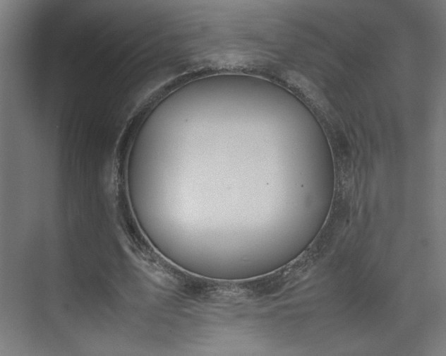 X0000074210583200608251105