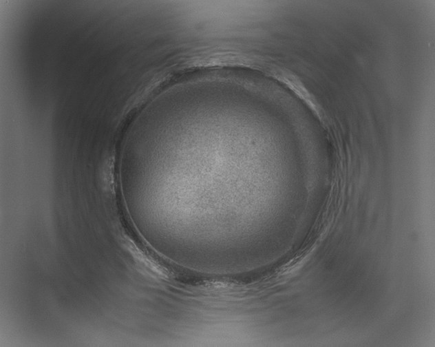 X0000074210585200608251105