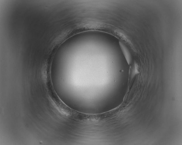 X0000074210586200608251105