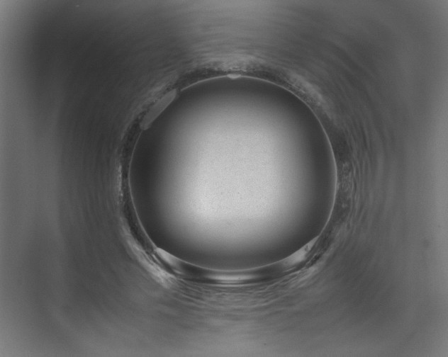 X0000074210589200608251105