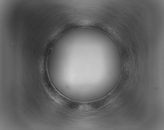 X0000074210591200608251105