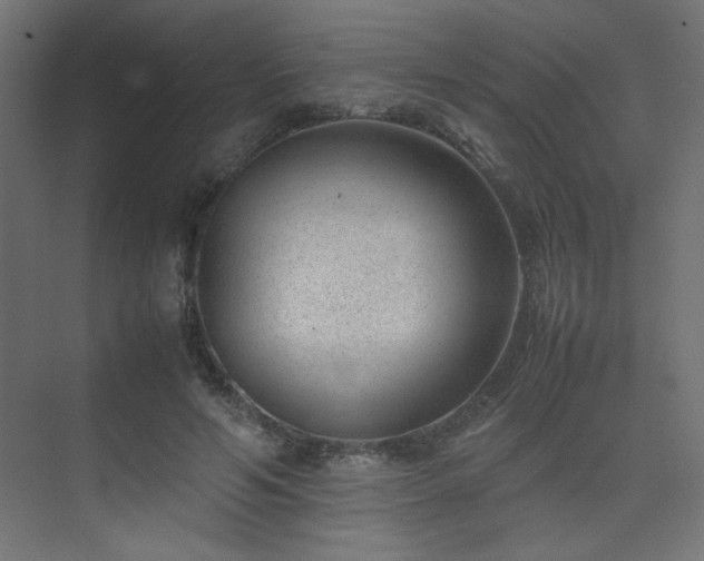 X0000074210594200608251105