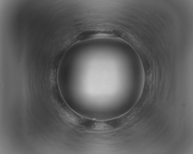 X0000074210605200608251104