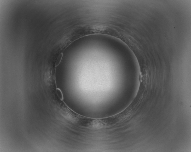 X0000074210608200608251104