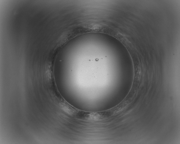 X0000074210612200608251104