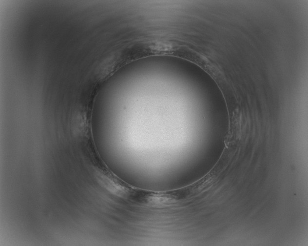 X0000074210614200608251104