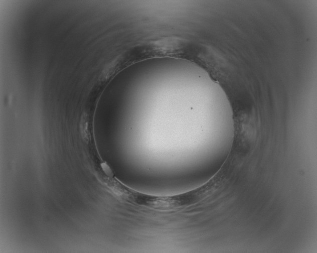 X0000074210615200608251104