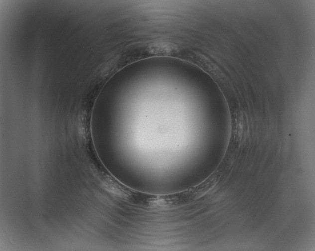 X0000074210616200608251104
