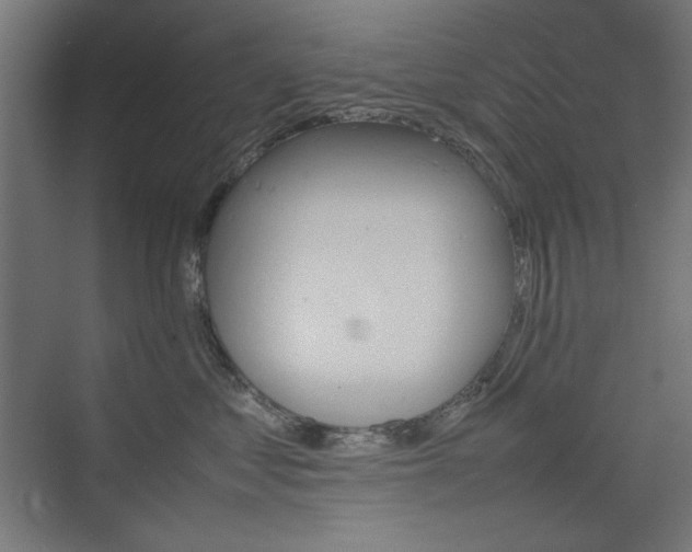 X0000074210621200608251104