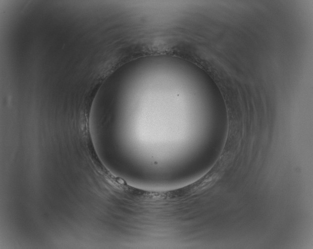 X0000074210624200608251104