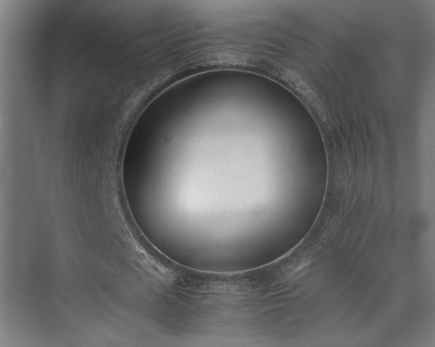 X0000074210625200608251103