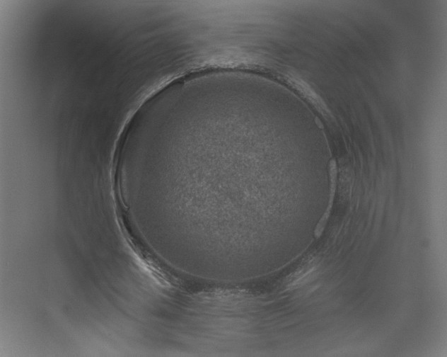 X0000074210626200608251103