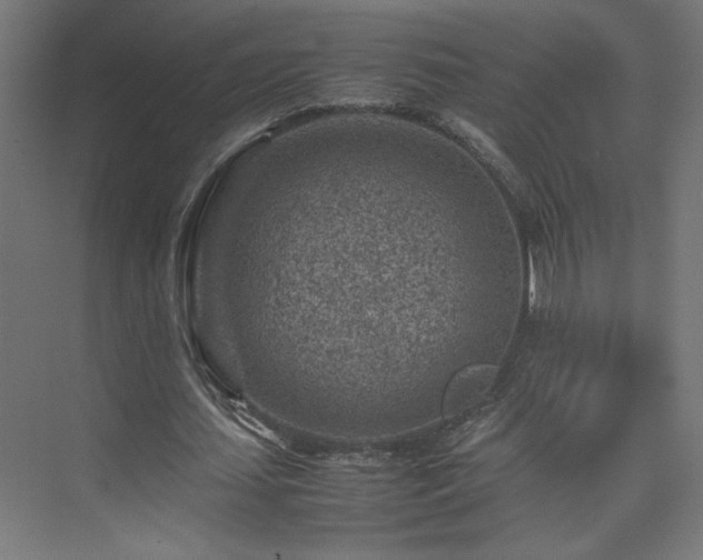 X0000074210627200608251103