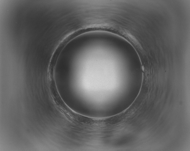 X0000074210628200608251103