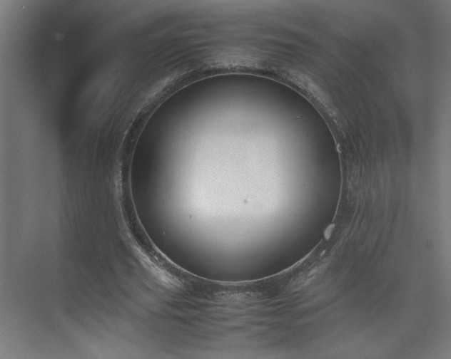 X0000074210629200608251103