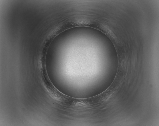 X0000074210635200608251103