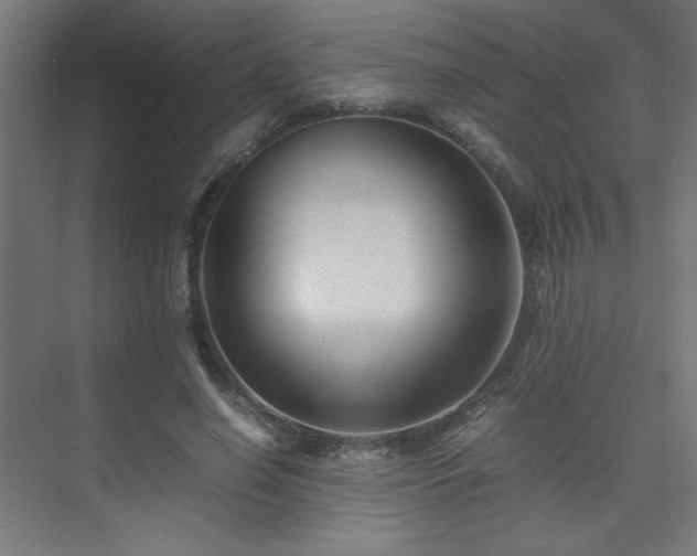 X0000074210638200608251104
