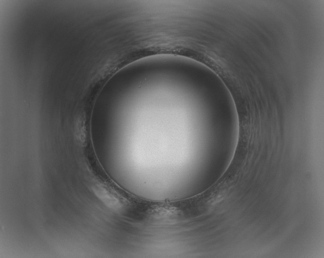 X0000074210642200608251104